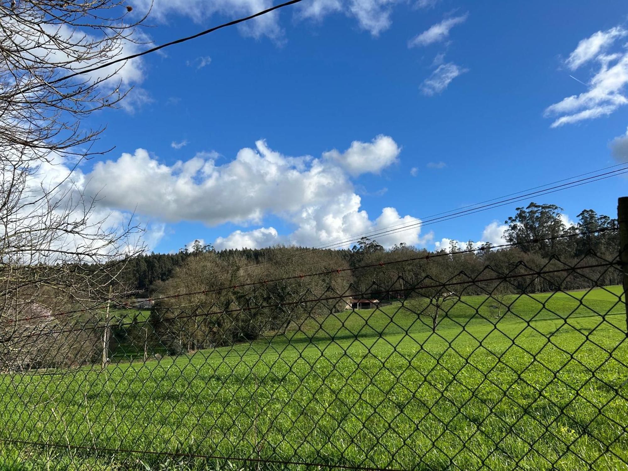 Casa Otilia - Rural - Camino De Santiago - Arzua别墅 外观 照片